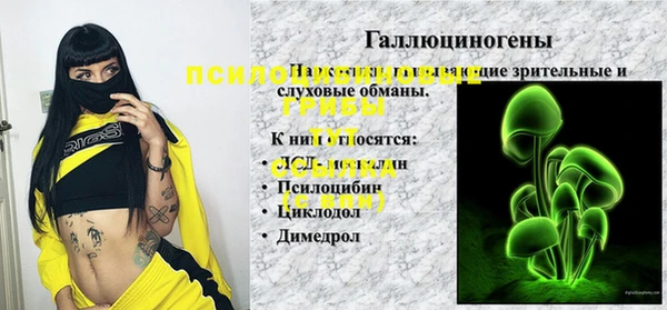 стаф Горнозаводск