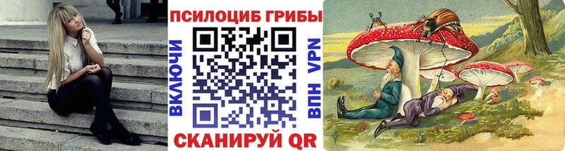 блэк спрут онион  Задонск  Галлюциногенные грибы MAGIC MUSHROOMS  магазин продажи наркотиков 